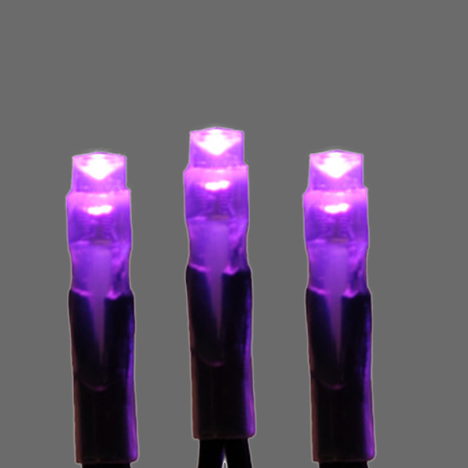 outdoor, indoor, LED, bulb, lights, quality, durable, commercial-grade, replacement, 2021, green, wire, mini led, string lights, purple