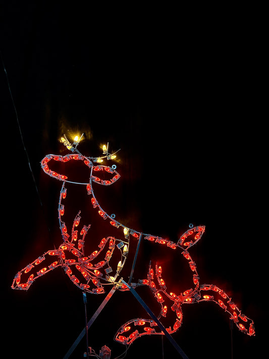 2D Aluminum Frame Male Flying Reindeer Motif