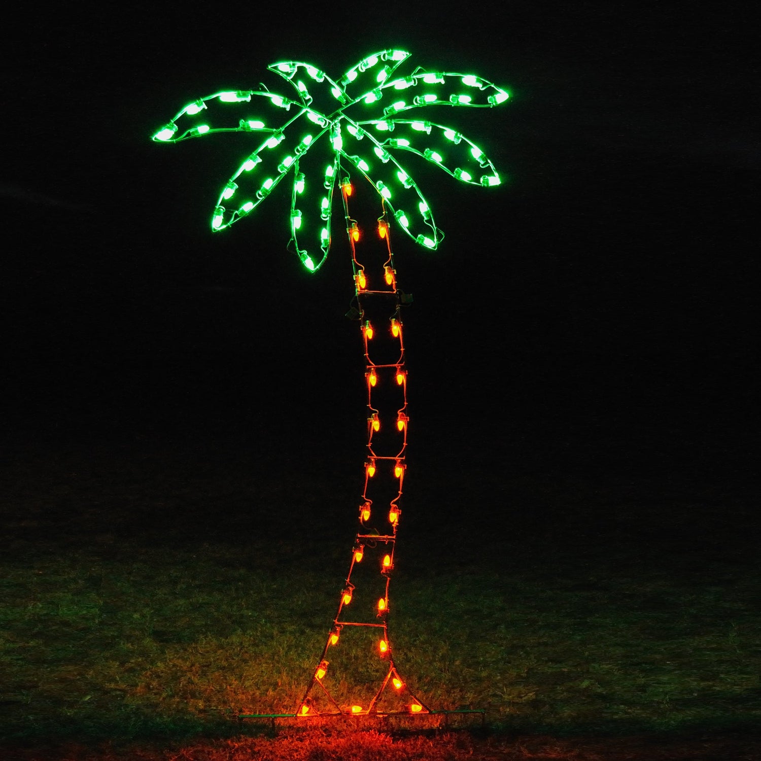 Wisemen & Palm Tree