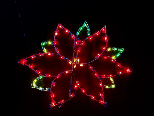 2D Steel Frame Poinsettia