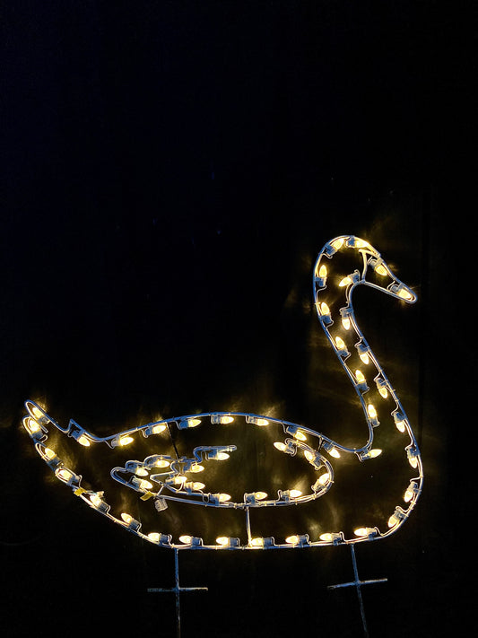 2D Steel Frame Swan Motif